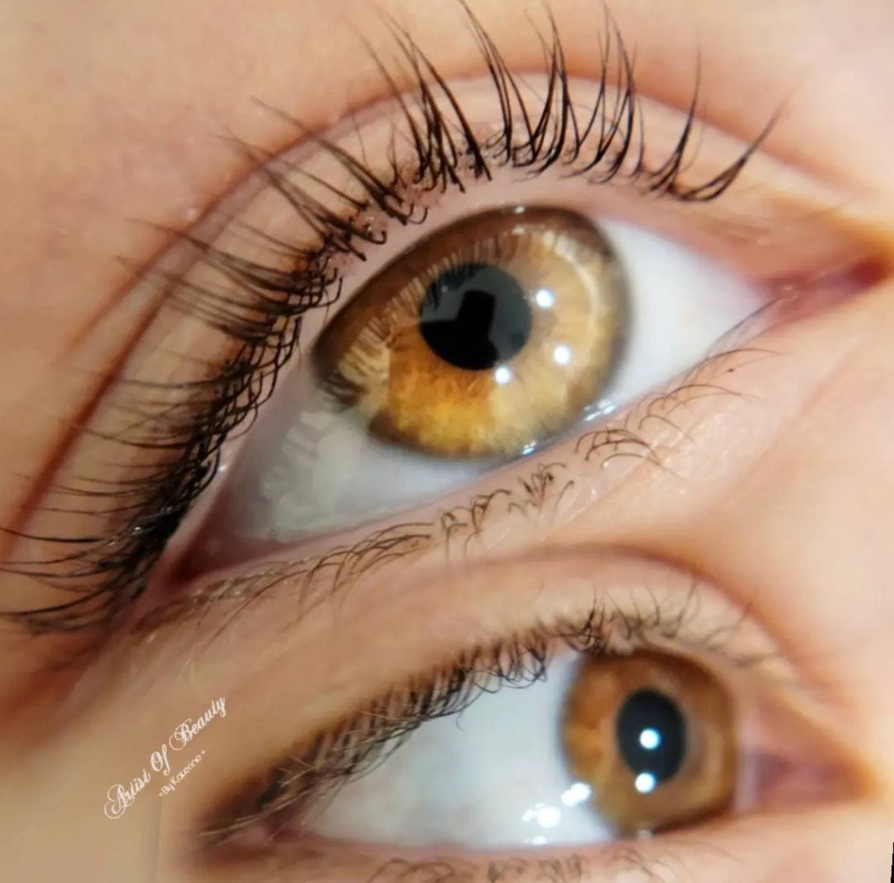 Combo brows result